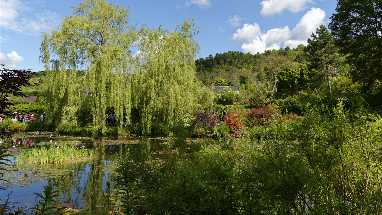 20190529-112554•Giverny (Jardin de Monet)•Limetz-Villez•Ile-de-France•France
